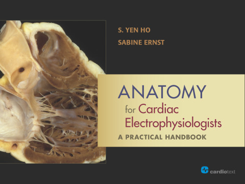 Anatomy for Cardiac Electrophysiologists: A Practical Handbook 