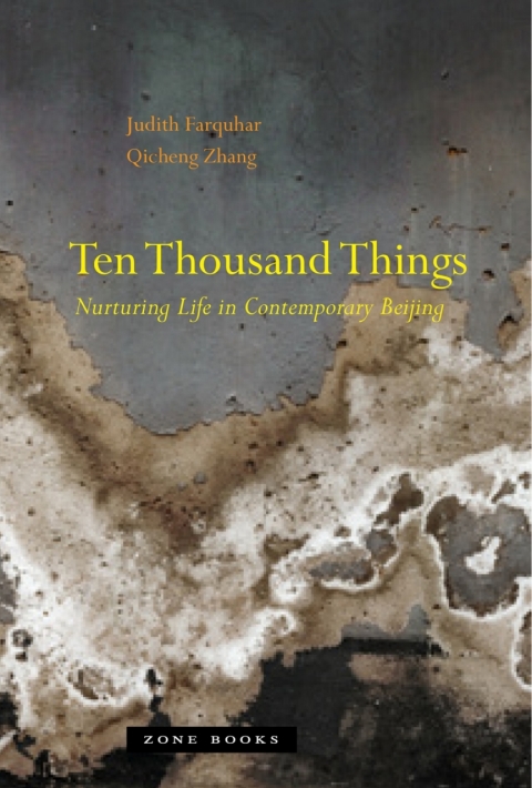 Cover image for book Ten Thousand Things