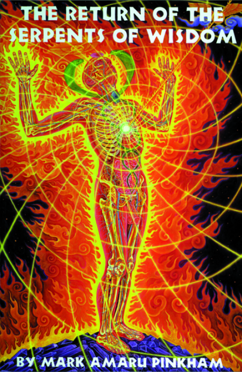 Cover image for book The Return of the Serpents of Wisdom