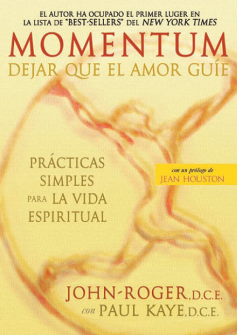 Cover image for book Momentum