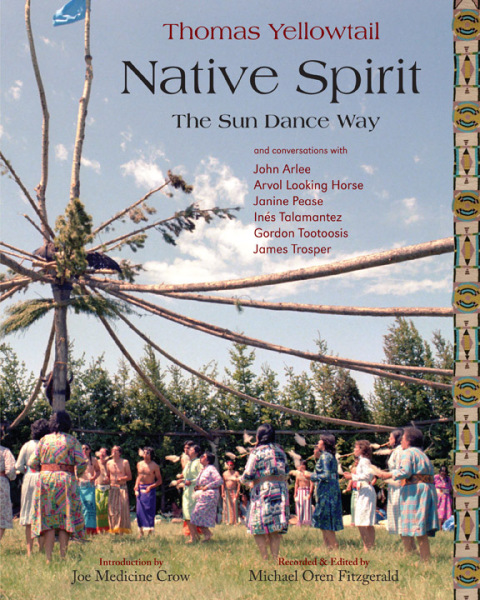 Cover image for book Native Spirit