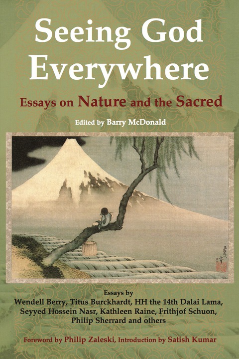 Cover image for book Seeing God Everywhere: Essays On Nature