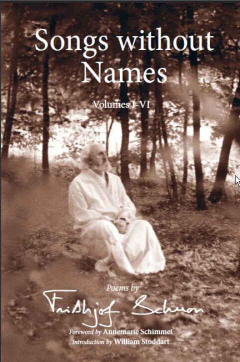 Cover image for book Songs Without Names Vol. I-Vi: Poems By