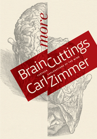 صورة الغلاف: More Brain Cuttings: Further Explorations of the Mind 1st edition