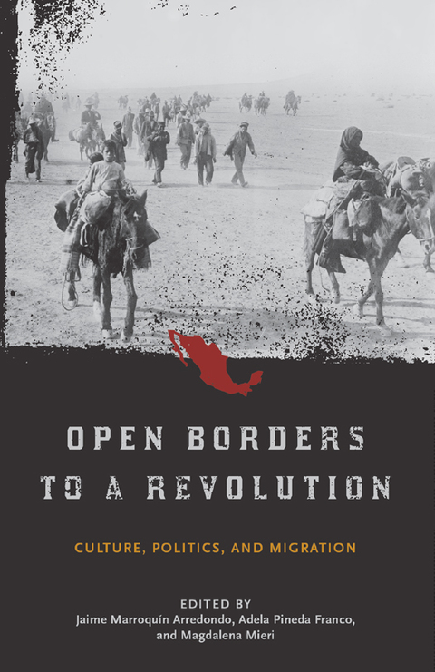 Cover image for book Open Borders to a Revolution