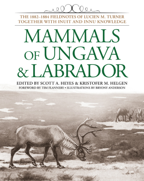Cover image for book Mammals of Ungava and Labrador