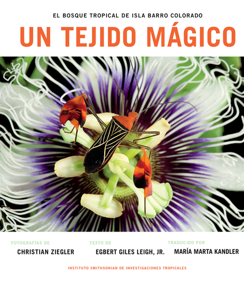 Cover image for book Un Tejido Magico