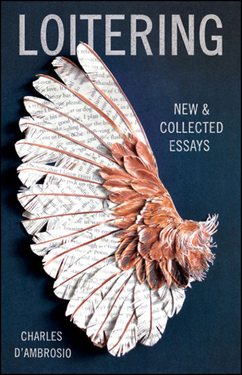 Cover image for book Loitering