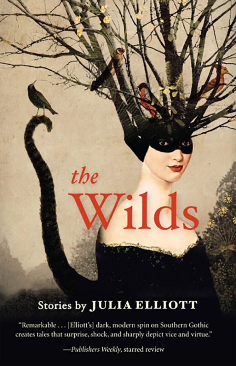 Cover image for book The Wilds