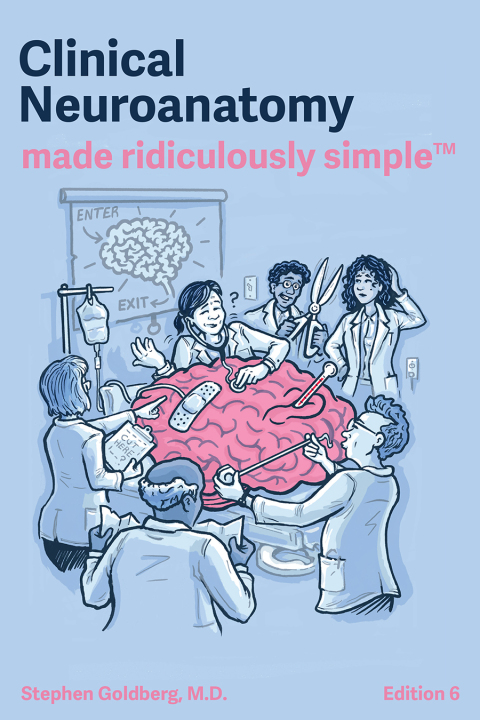 Cover image for book Clinical Neuroanatomy Made Ridiculously Simple
