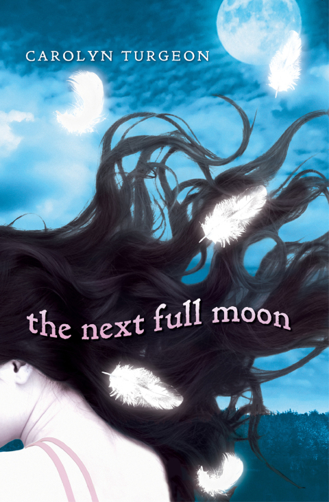 Cover image for book The Next Full Moon