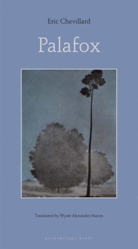 Cover image for book Palafox