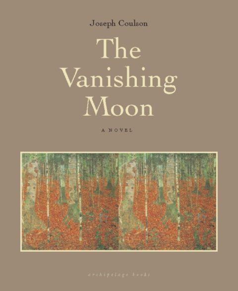 Cover image for book The Vanishing Moon