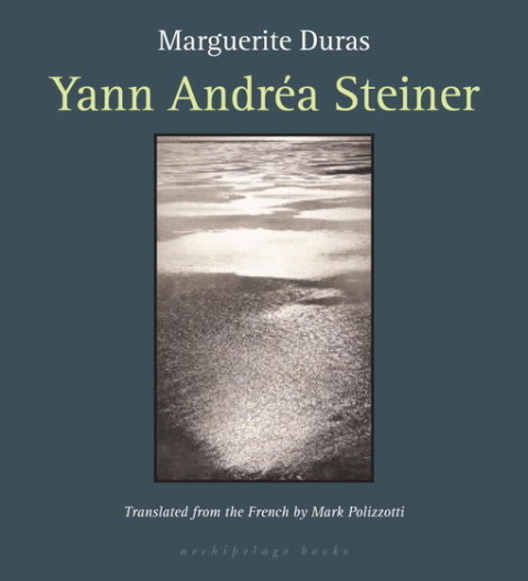 Cover image for book Yann Andrea Steiner
