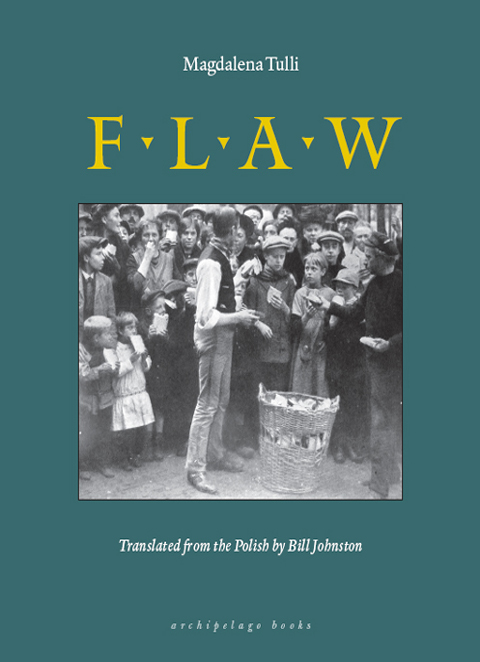 Cover image for book Flaw