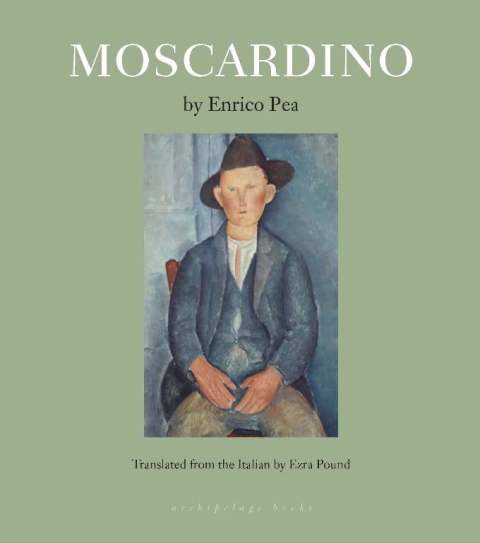 Cover image for book Moscardino