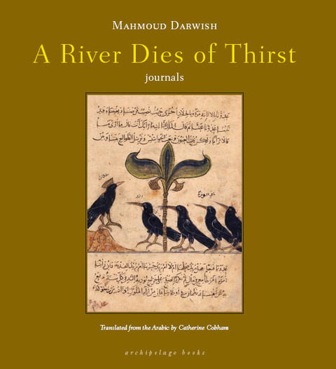 Cover image for book A River Dies of Thirst