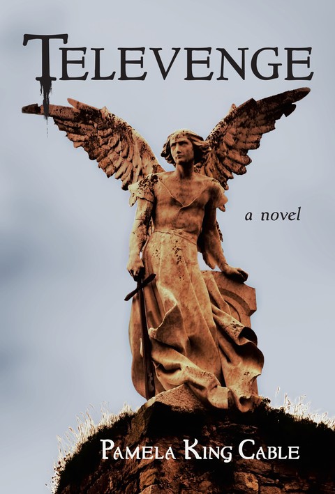Cover image for book Televenge