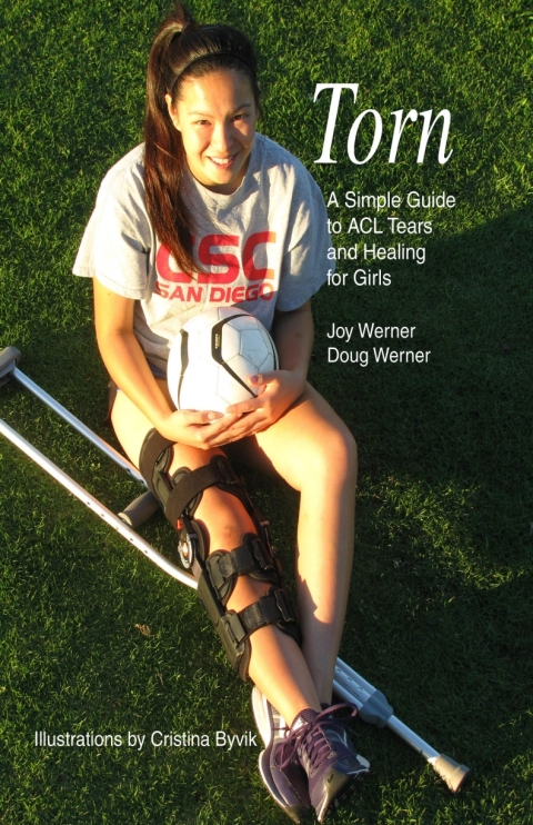 Cover image for book Torn