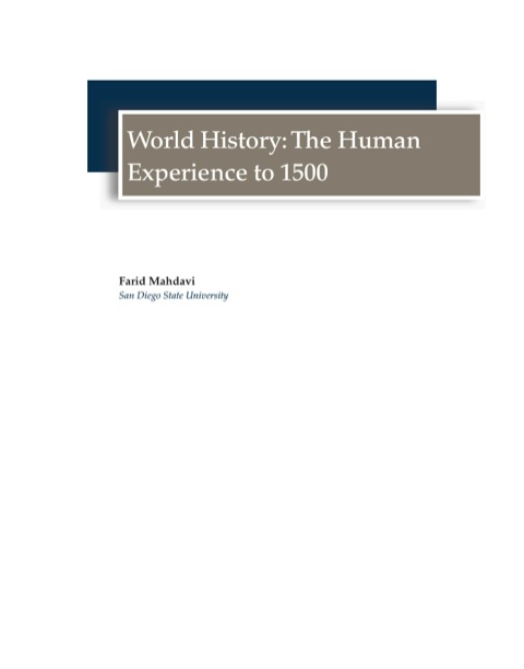 Cover image for book World History: The Human Experience to 1500