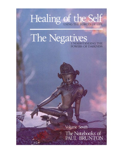 Cover image for book Healing of the Self & the Negatives