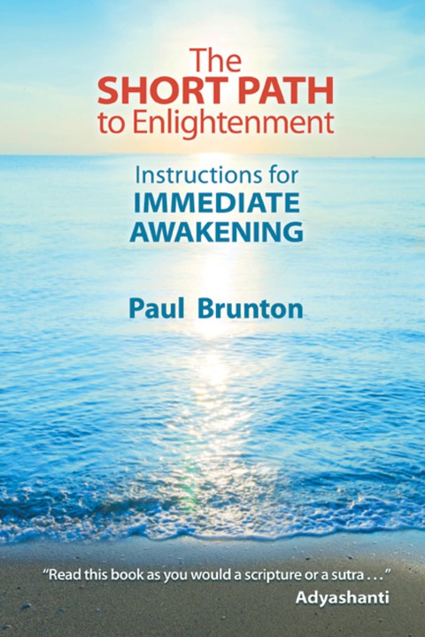 Cover image for book The Short Path to Enlightenment