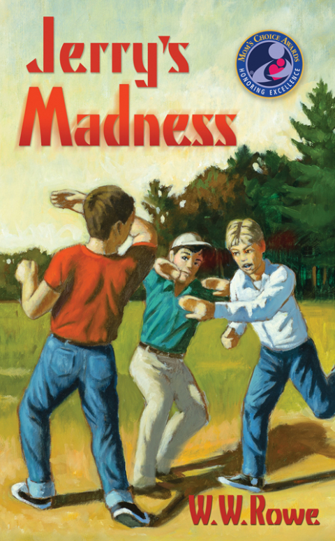 Cover image for book Jerry's Madness