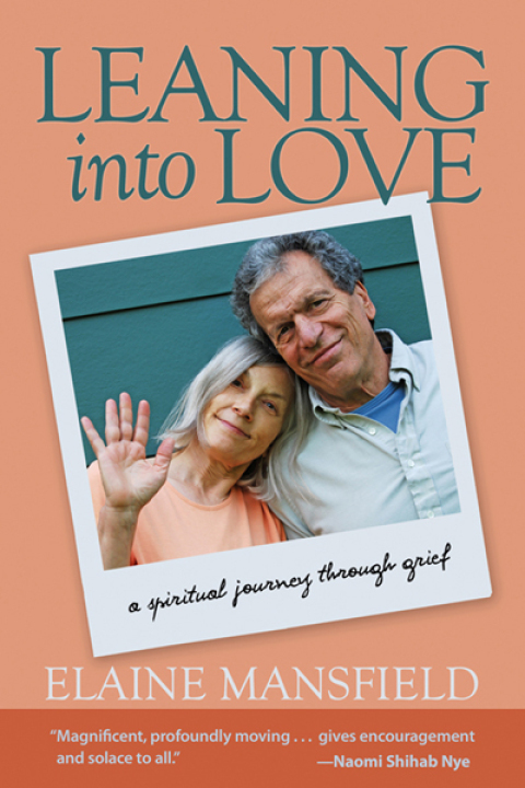 Cover image for book Leaning into Love