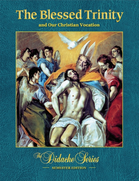 Cover image for book The Blessed Trinity and Our Christian Vocation