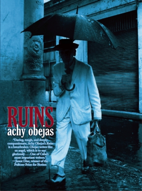 Cover image for book Ruins