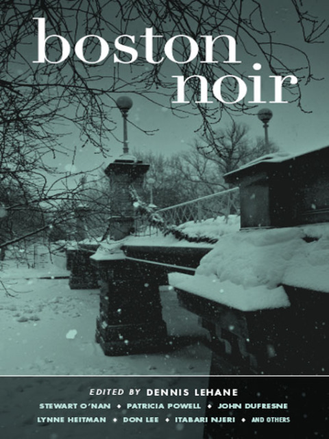 Cover image for book Boston Noir