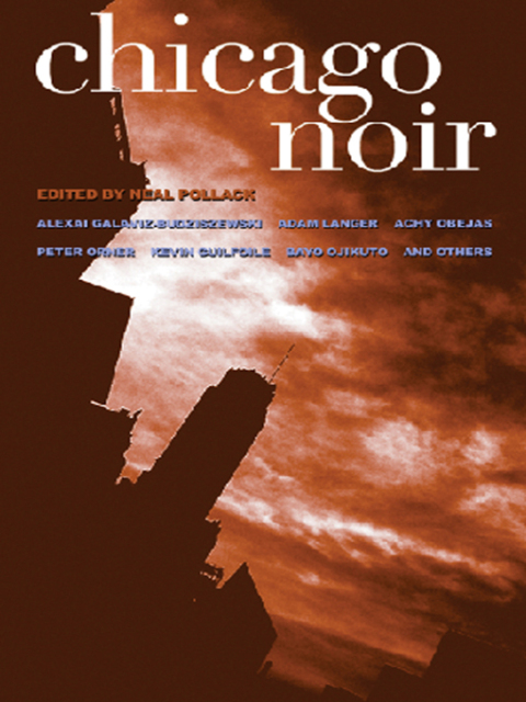 Cover image for book Chicago Noir