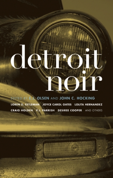 Cover image for book Detroit Noir