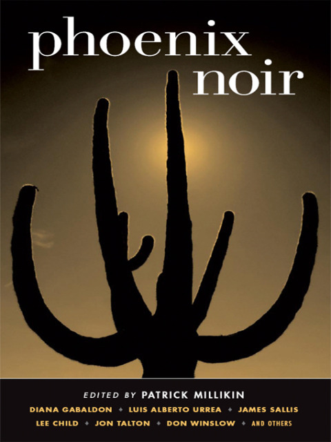 Cover image for book Phoenix Noir