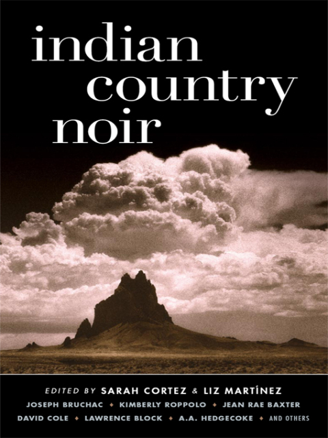 Cover image for book Indian Country Noir