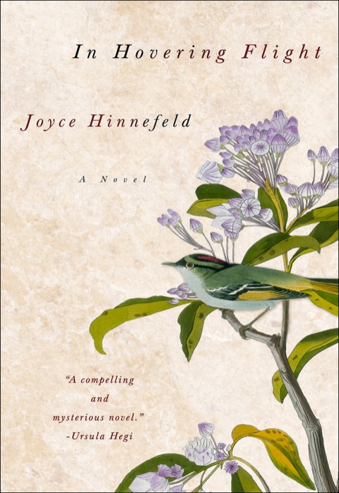 Cover image for book In Hovering Flight