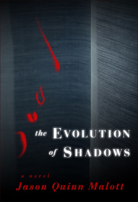Cover image for book The Evolution of Shadows
