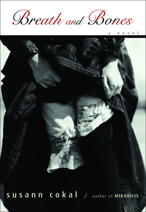Cover image for book Breath and Bones