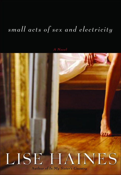 Cover image for book Small Acts of Sex and Electricity