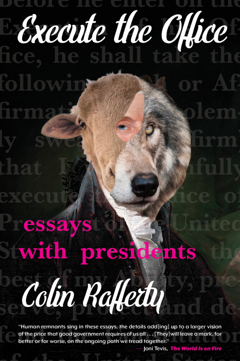 Cover image for book Execute the Office
