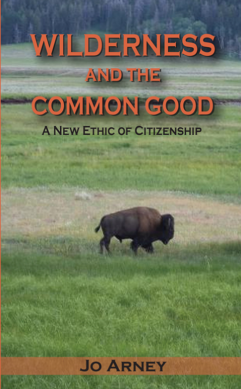 Cover image for book Wilderness and the Common Good