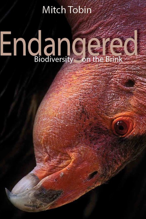 Cover image for book Endangered