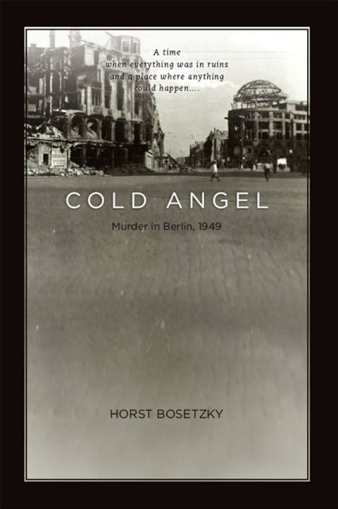Cover image for book Cold Angel