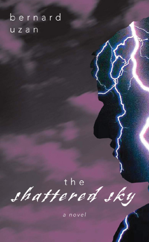 Cover image for book The Shattered Sky