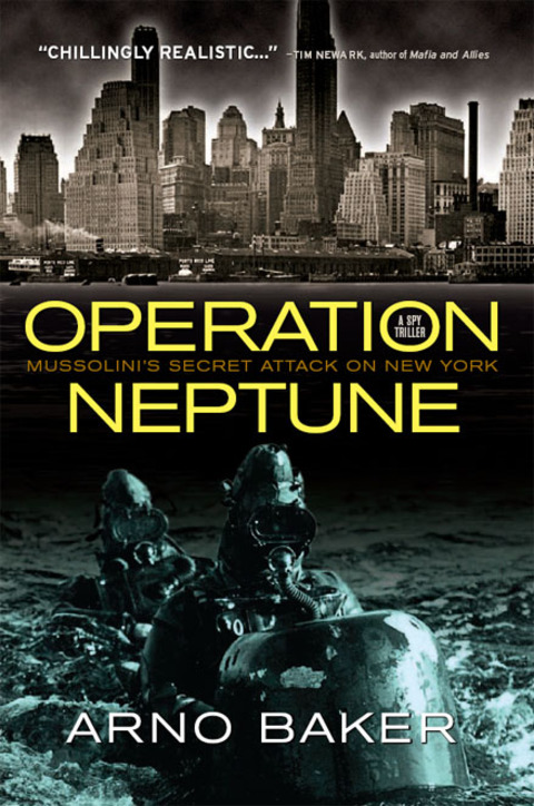 Cover image for book Operation Neptune