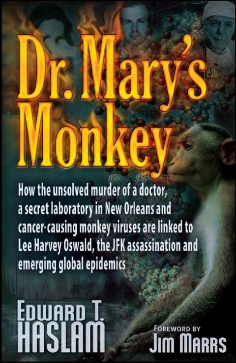 Cover image for book Dr. Mary's Monkey