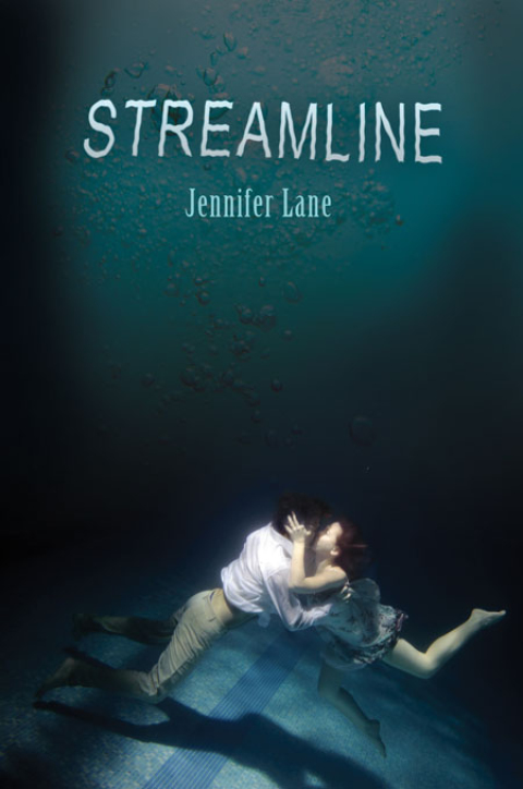 Cover image for book Streamline