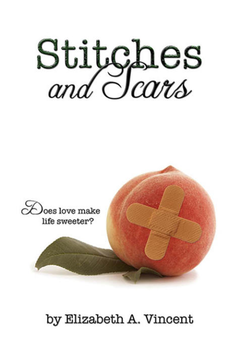 Cover image for book Stitches & Scars