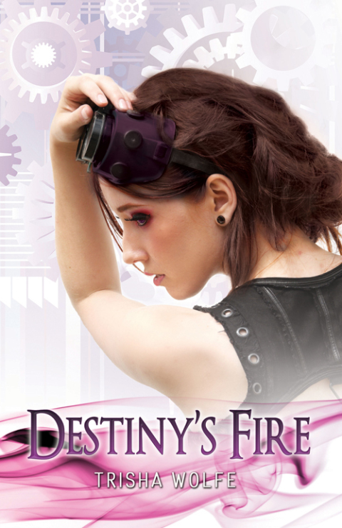 Cover image for book Destiny's Fire