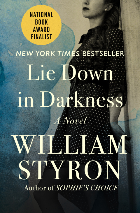 Cover image for book Lie Down in Darkness